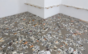 “AFTER PHOTOGRAPHY” À LA GALERIE ALAIN GUTHARC